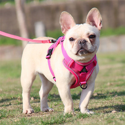 Cute Cartoon Leash Poket Decor Pet Vest