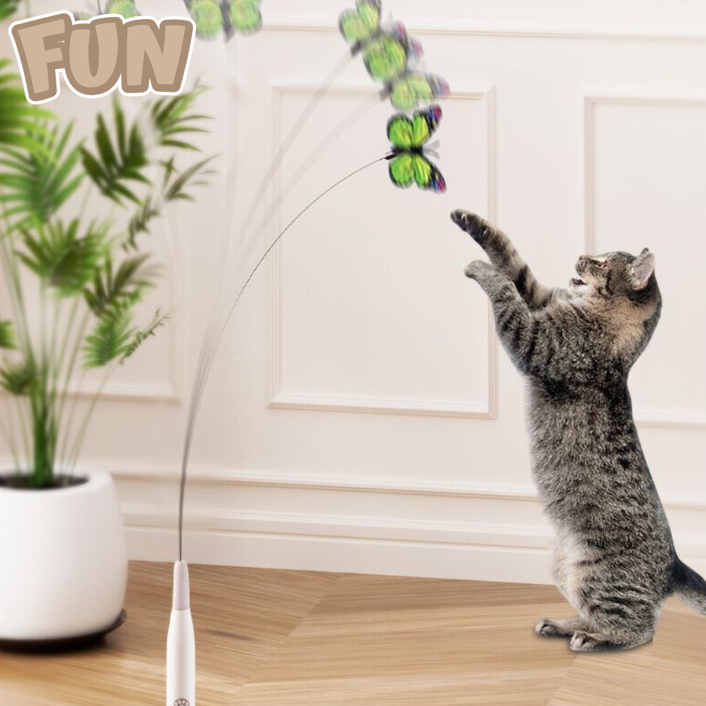 MeowVibe Toy - 360° Auto Rotation