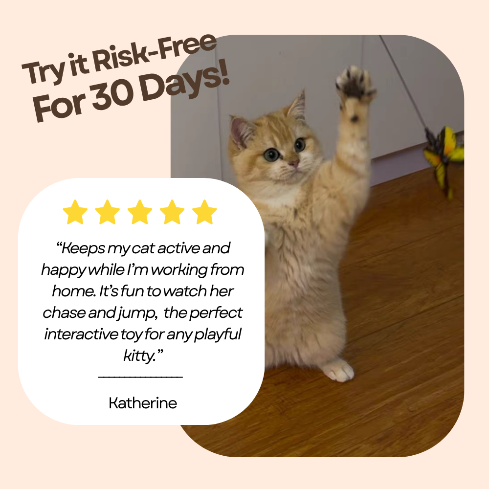 MeowVibe Toy - 360° Auto Rotation