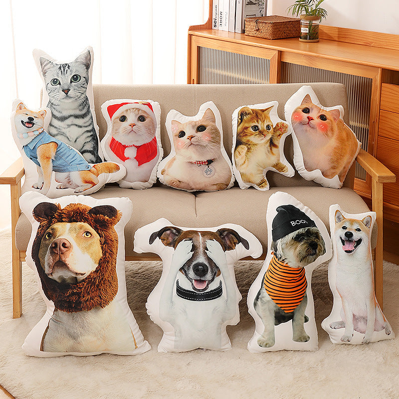 BigHug Custom Pillow