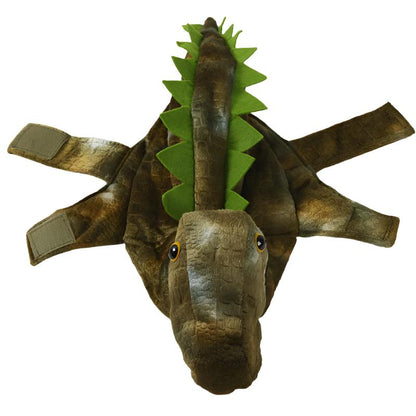 Dinosaur Pet Costume
