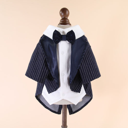 Gentleman Suit for Pet