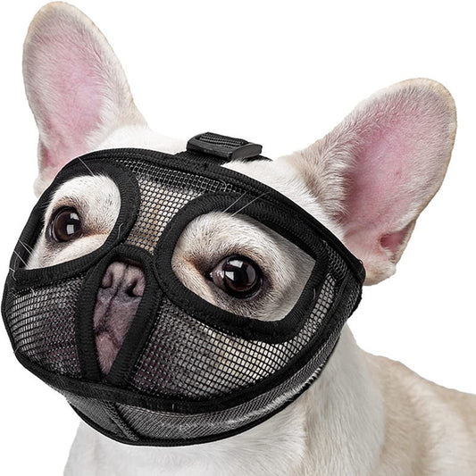 MuzzleBuddy Protection Mask