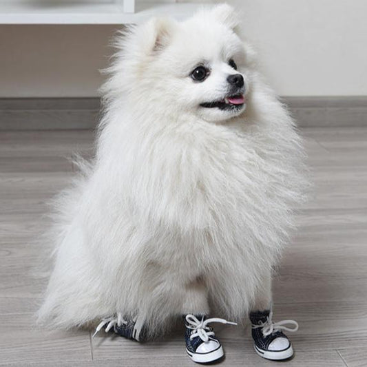 Pet Canvas shoes