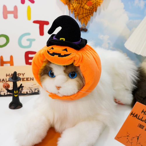 SpookySquish Halloween Hat