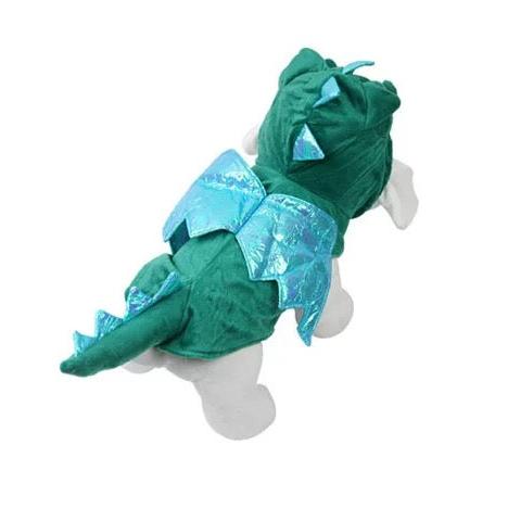 Cute Flying Dinosaur Costume